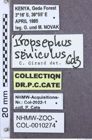 Etikette zu Propsephus seniculus (NHMW-ZOO-COL-0010274)